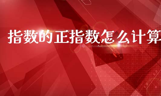 指数的正指数怎么计算_https://www.fansifence.com_国际期货行情_第1张