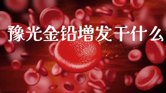 豫光金铅增发干什么_https://www.fansifence.com_恒指交易时间_第1张