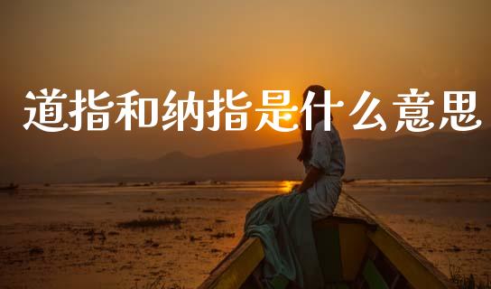 道指和纳指是什么意思_https://www.fansifence.com_国际期货_第1张