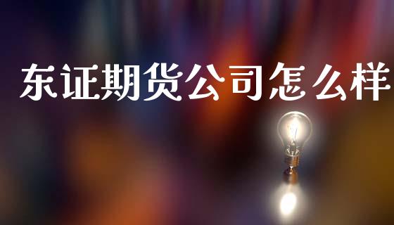 东证期货公司怎么样_https://www.fansifence.com_恒指交易时间_第1张
