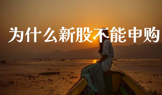 为什么新股不能申购_https://www.fansifence.com_国际期货_第1张