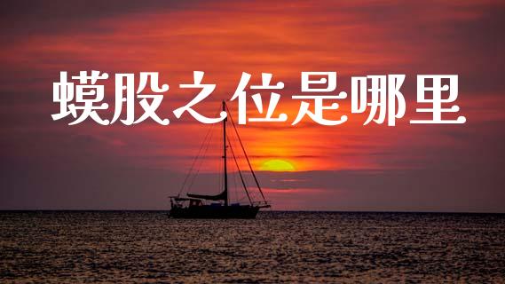 蟆股之位是哪里_https://www.fansifence.com_国际期货_第1张