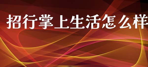 招行掌上生活怎么样_https://www.fansifence.com_国际期货_第1张