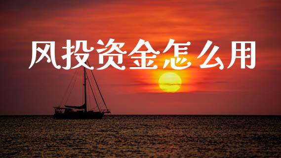 风投资金怎么用_https://www.fansifence.com_恒指交易时间_第1张