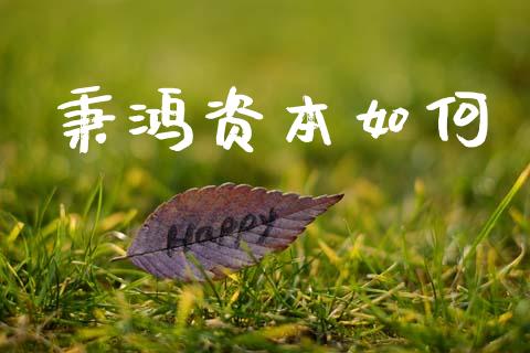 秉鸿资本如何_https://www.fansifence.com_中国国际期货_第1张