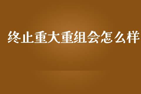 终止重大重组会怎么样_https://www.fansifence.com_中国国际期货_第1张