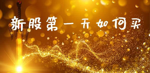 新股第一天如何买_https://www.fansifence.com_中国国际期货_第1张