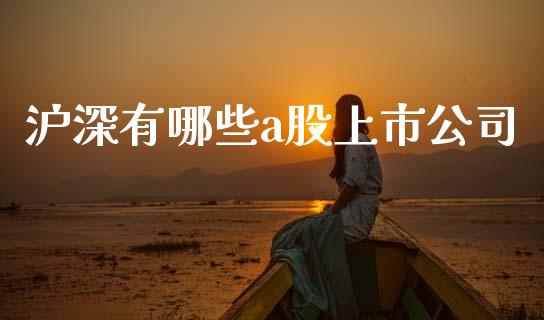 沪深有哪些a股上市公司_https://www.fansifence.com_国际期货行情_第1张
