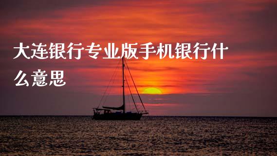 大连银行专业版手机银行什么意思_https://www.fansifence.com_国际期货_第1张