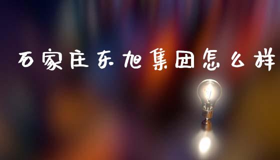石家庄东旭集团怎么样_https://www.fansifence.com_国际期货行情_第1张