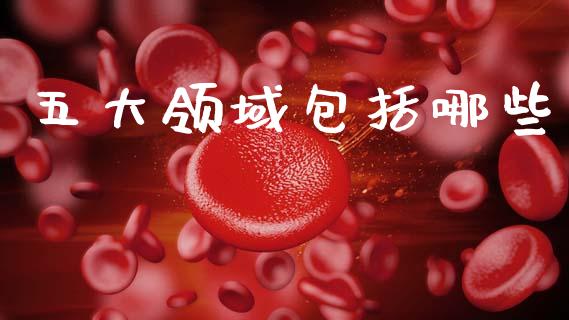 五大领域包括哪些_https://www.fansifence.com_中国国际期货_第1张