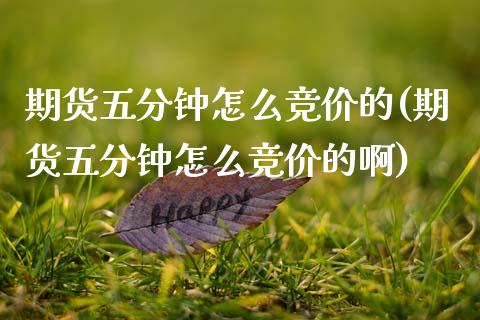 期货五分钟怎么竞价的(期货五分钟怎么竞价的啊)_https://www.fansifence.com_国际期货_第1张