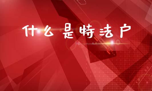 什么是特法户_https://www.fansifence.com_恒指交易时间_第1张