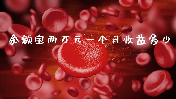 余额宝两万元一个月收益多少_https://www.fansifence.com_中国国际期货_第1张
