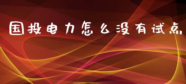 国投电力怎么没有试点_https://www.fansifence.com_中国国际期货_第1张