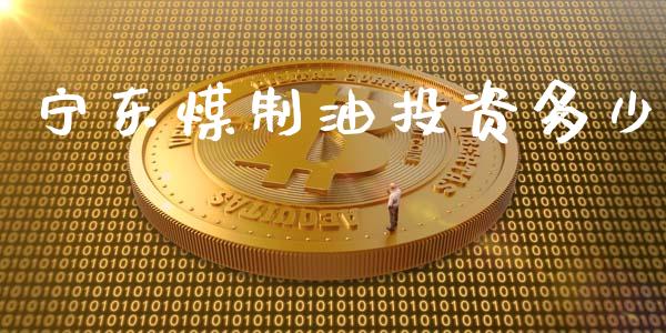 宁东煤制油投资多少_https://www.fansifence.com_恒指交易时间_第1张