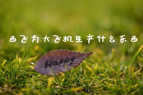 西飞为大飞机生产什么东西_https://www.fansifence.com_中国国际期货_第1张