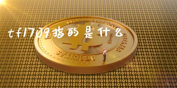 tf1709指的是什么_https://www.fansifence.com_国际期货_第1张