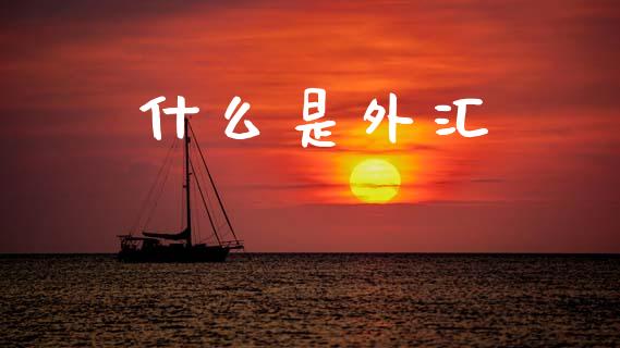 什么是外汇_https://www.fansifence.com_中国国际期货_第1张