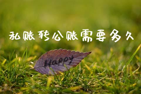 私账转公账需要多久_https://www.fansifence.com_国际期货_第1张