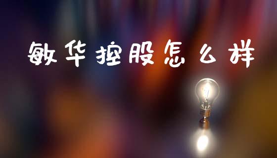 敏华控股怎么样_https://www.fansifence.com_国际期货_第1张