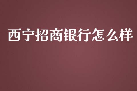 西宁招商银行怎么样_https://www.fansifence.com_国际期货行情_第1张