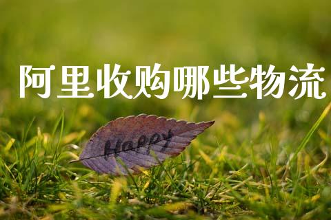 阿里收购哪些物流_https://www.fansifence.com_中国国际期货_第1张
