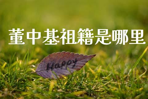 董中基祖籍是哪里_https://www.fansifence.com_恒指交易时间_第1张