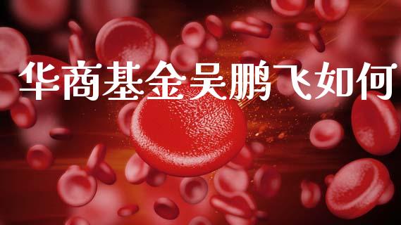华商基金吴鹏飞如何_https://www.fansifence.com_国际期货行情_第1张