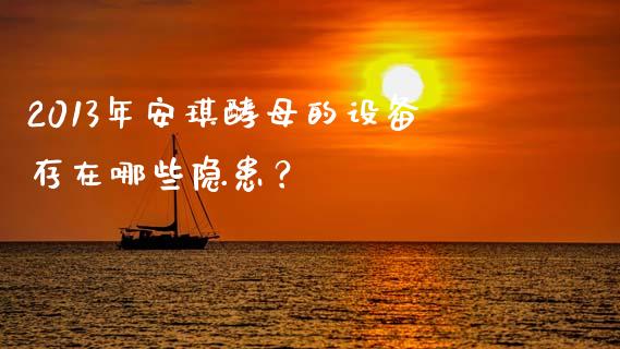 2013年安琪酵母的设备存在哪些隐患？_https://www.fansifence.com_国际期货_第1张