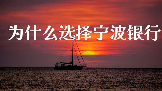 为什么选择宁波银行_https://www.fansifence.com_国际期货_第1张
