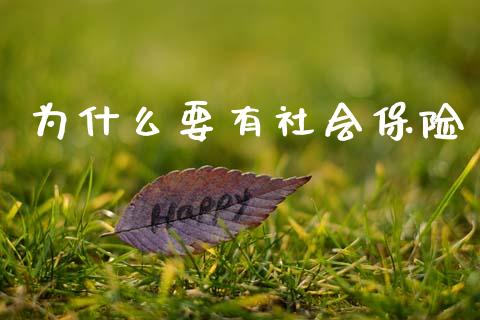为什么要有社会保险_https://www.fansifence.com_国际期货_第1张