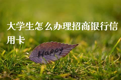 大学生怎么办理招商银行信用卡_https://www.fansifence.com_国际期货行情_第1张