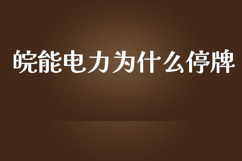 皖能电力为什么停牌_https://www.fansifence.com_国际期货_第1张
