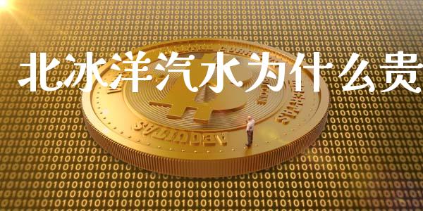 北冰洋汽水为什么贵_https://www.fansifence.com_国际期货行情_第1张