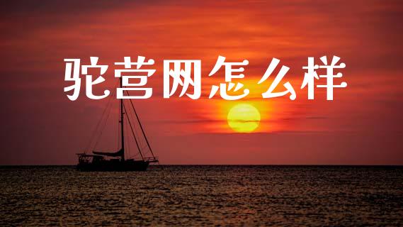 驼营网怎么样_https://www.fansifence.com_国际期货_第1张