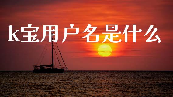 k宝用户名是什么_https://www.fansifence.com_中国国际期货_第1张