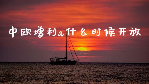 中欧增利a什么时候开放_https://www.fansifence.com_国际期货行情_第1张