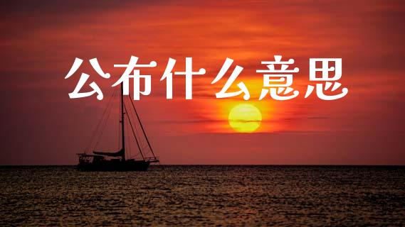 公布什么意思_https://www.fansifence.com_国际期货行情_第1张
