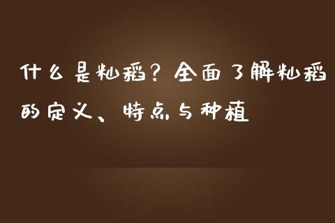 什么是籼稻？全面了解籼稻的定义、特点与种植_https://www.fansifence.com_国际期货_第1张