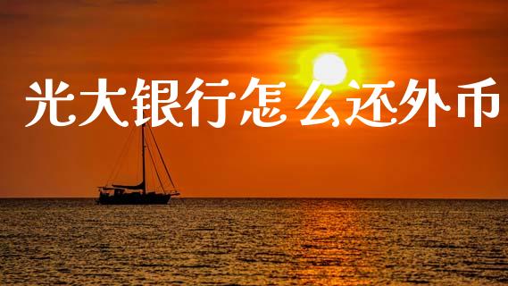 光大银行怎么还外币_https://www.fansifence.com_国际期货_第1张