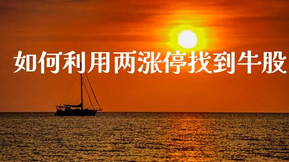 如何利用两涨停找到牛股_https://www.fansifence.com_国际期货行情_第1张