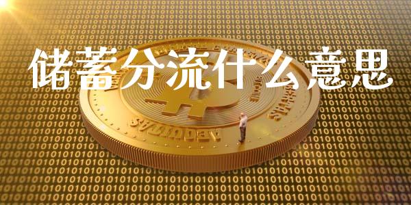 储蓄分流什么意思_https://www.fansifence.com_中国国际期货_第1张