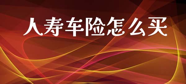 人寿车险怎么买_https://www.fansifence.com_国际期货_第1张