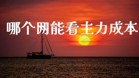 哪个网能看主力成本_https://www.fansifence.com_国际期货行情_第1张