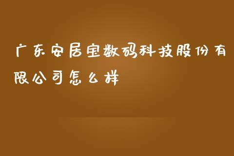 广东安居宝数码科技股份有限公司怎么样_https://www.fansifence.com_国际期货_第1张