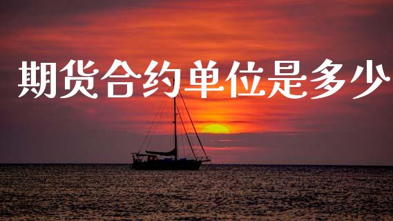 期货合约单位是多少_https://www.fansifence.com_国际期货行情_第1张