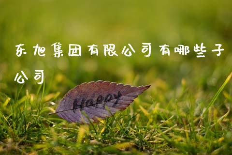 东旭集团有限公司有哪些子公司_https://www.fansifence.com_恒指交易时间_第1张