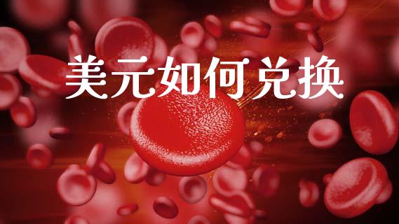 美元如何兑换_https://www.fansifence.com_国际期货行情_第1张