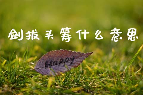 剑拔头筹什么意思_https://www.fansifence.com_恒指交易时间_第1张
